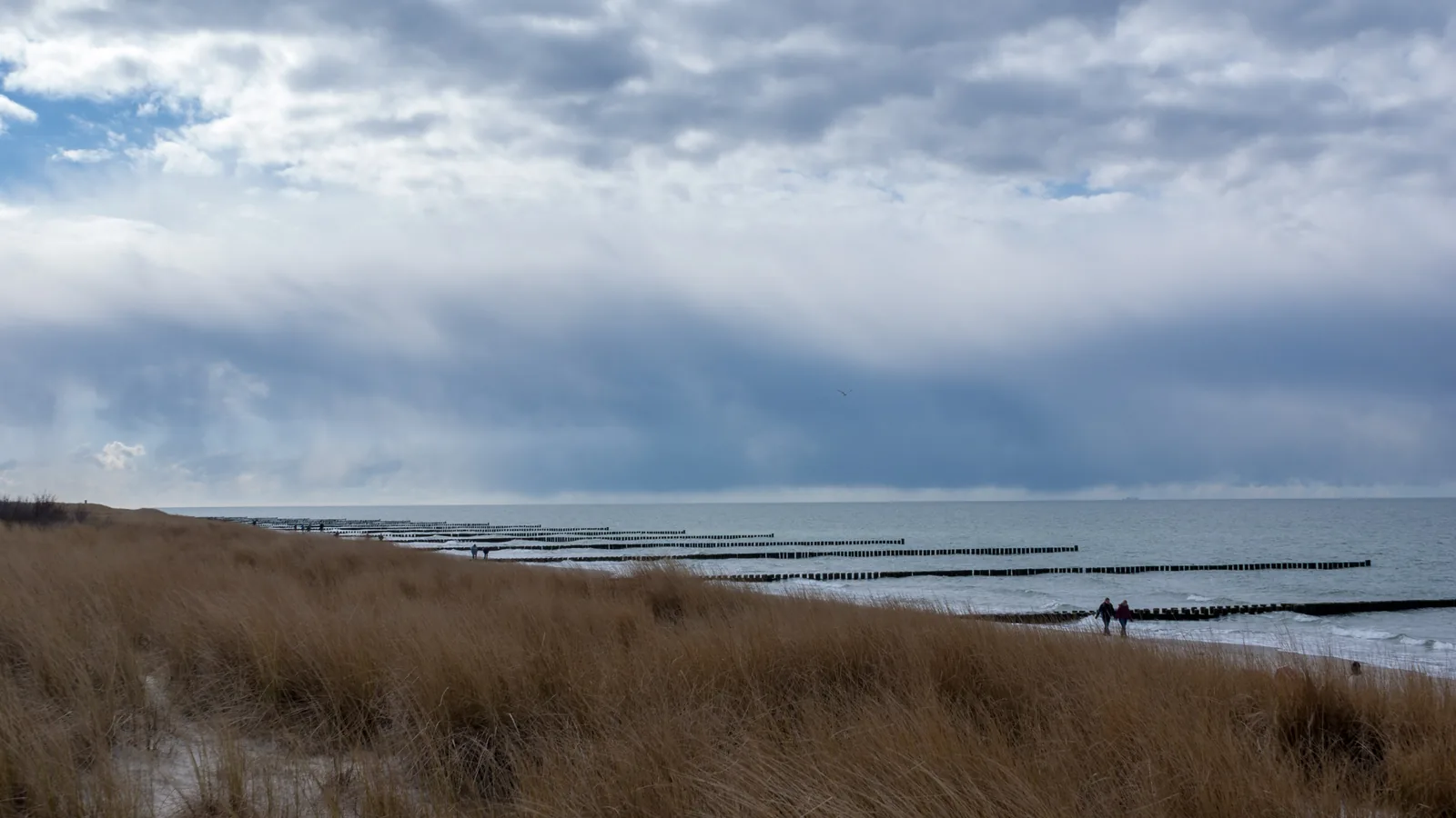 Hohes Ufer, Ahrenshoop, Germany - Blue Flag beach