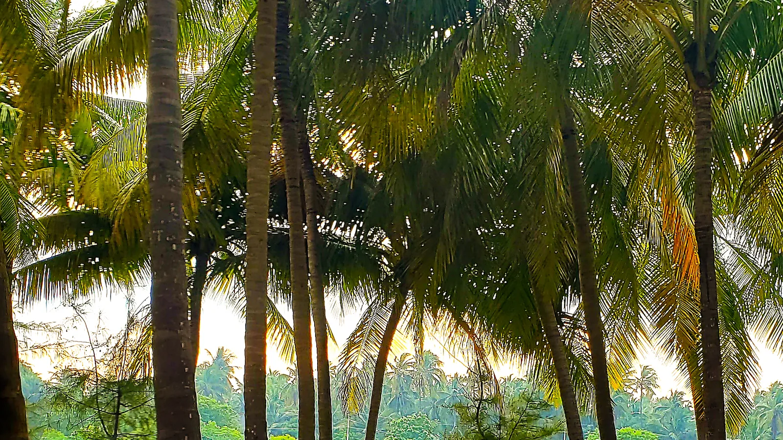 Eden Beach, Puducherry, India - Blue Flag beach