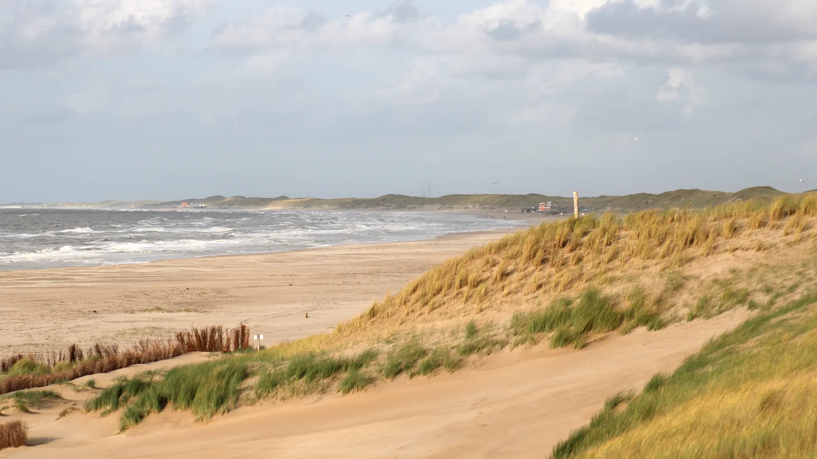 Petten, Netherlands - Blue Flag beach