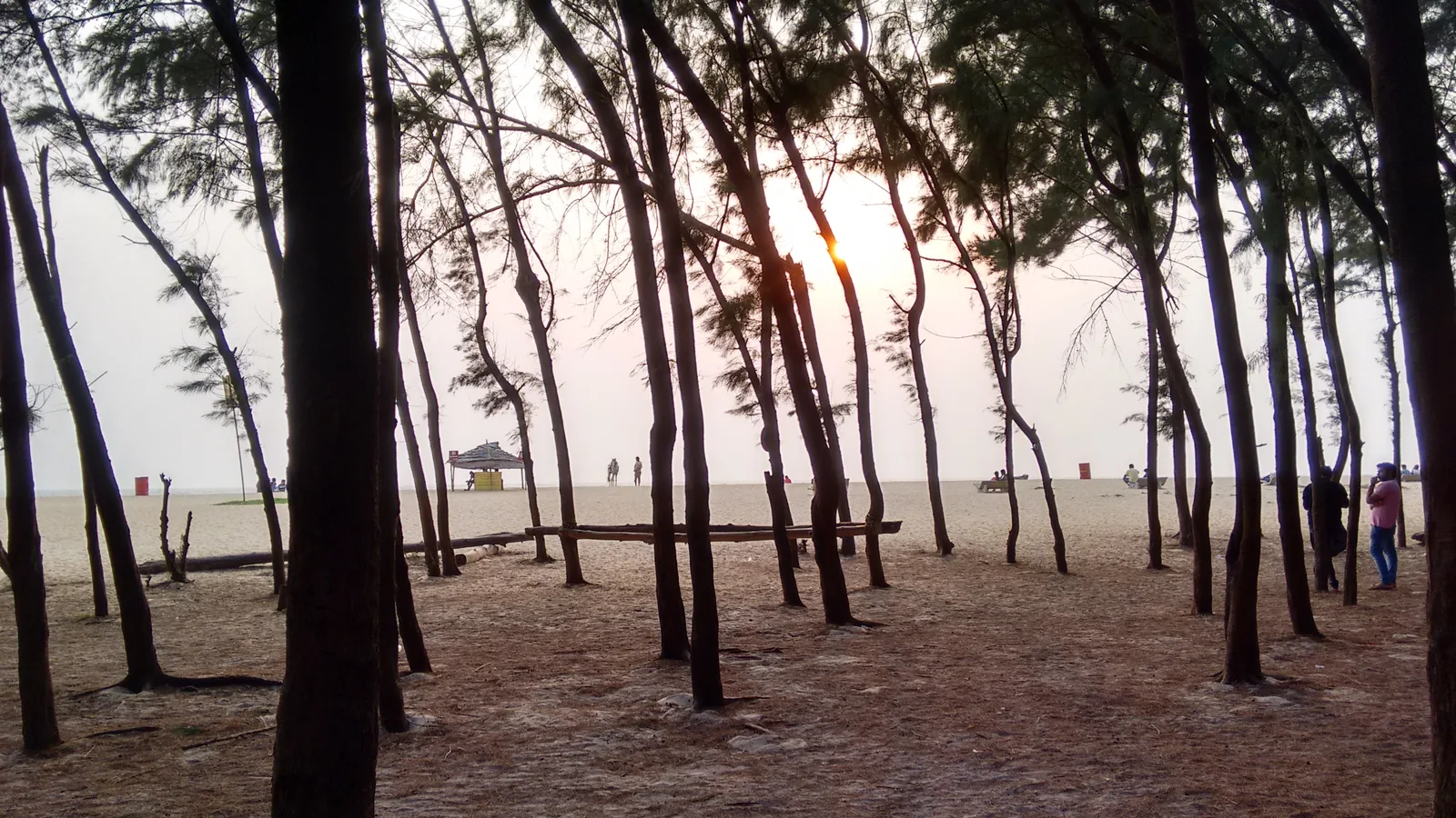 Tannirbhavi Beach, Mangaluru, India - Blue Flag beach