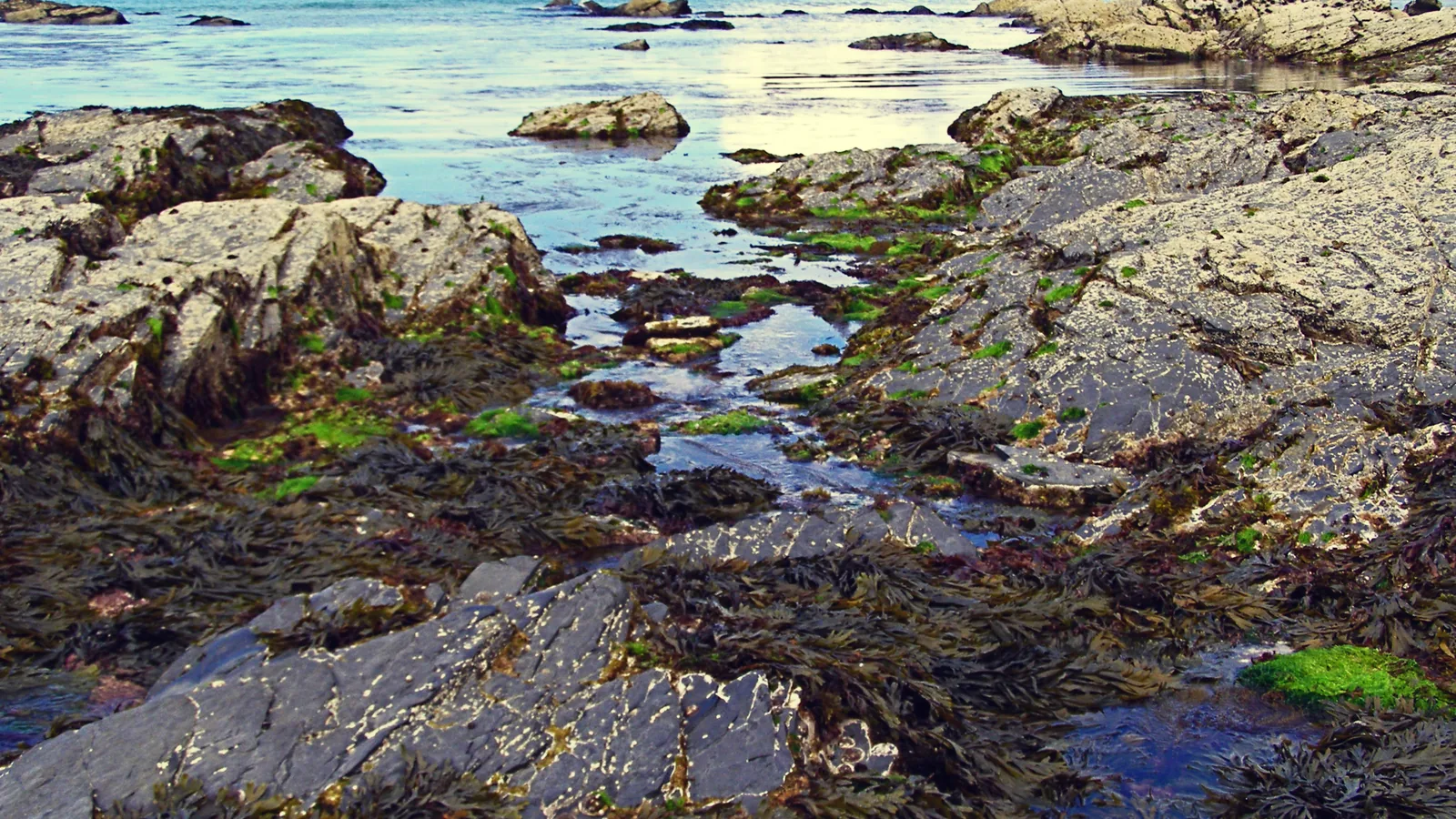 Trevone Bay, England, United Kingdom - Blue Flag beach